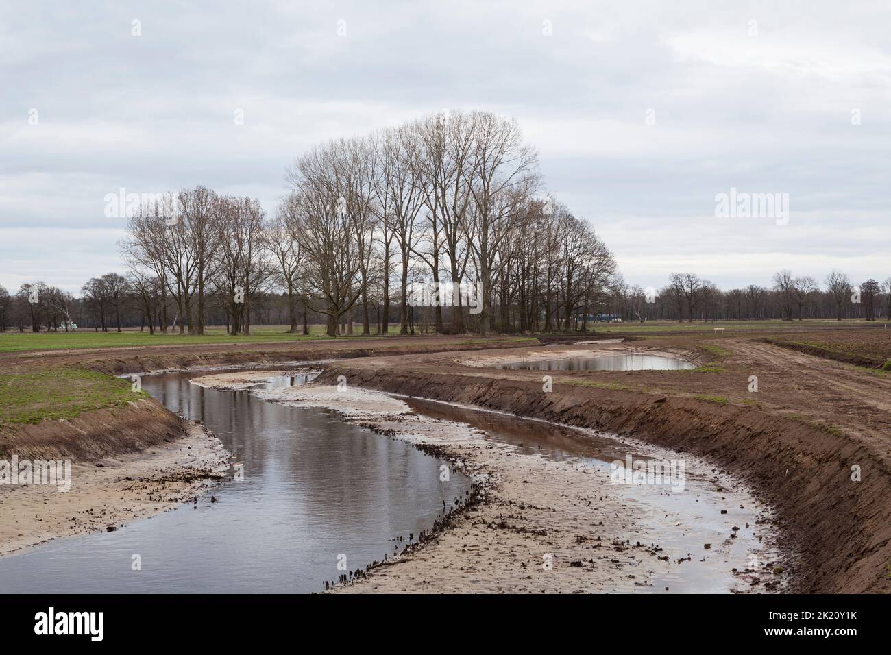 Ricostruzione del fiume Astense AA da un fiume canalizzato ad un fiume tortuoso con flora e fauna naturali nei Paesi Bassi Foto Stock