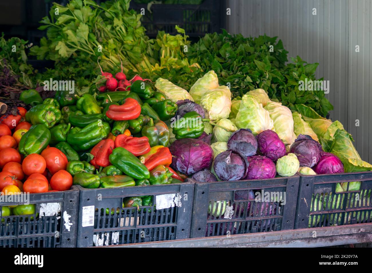 Verdure fresche con prodotti freschi sul mercato. Prodotti vegani healty. Mercado Apúlia. I prodotti del ristorante servono per preparare cibi freschi e aromatizzati. Foto Stock