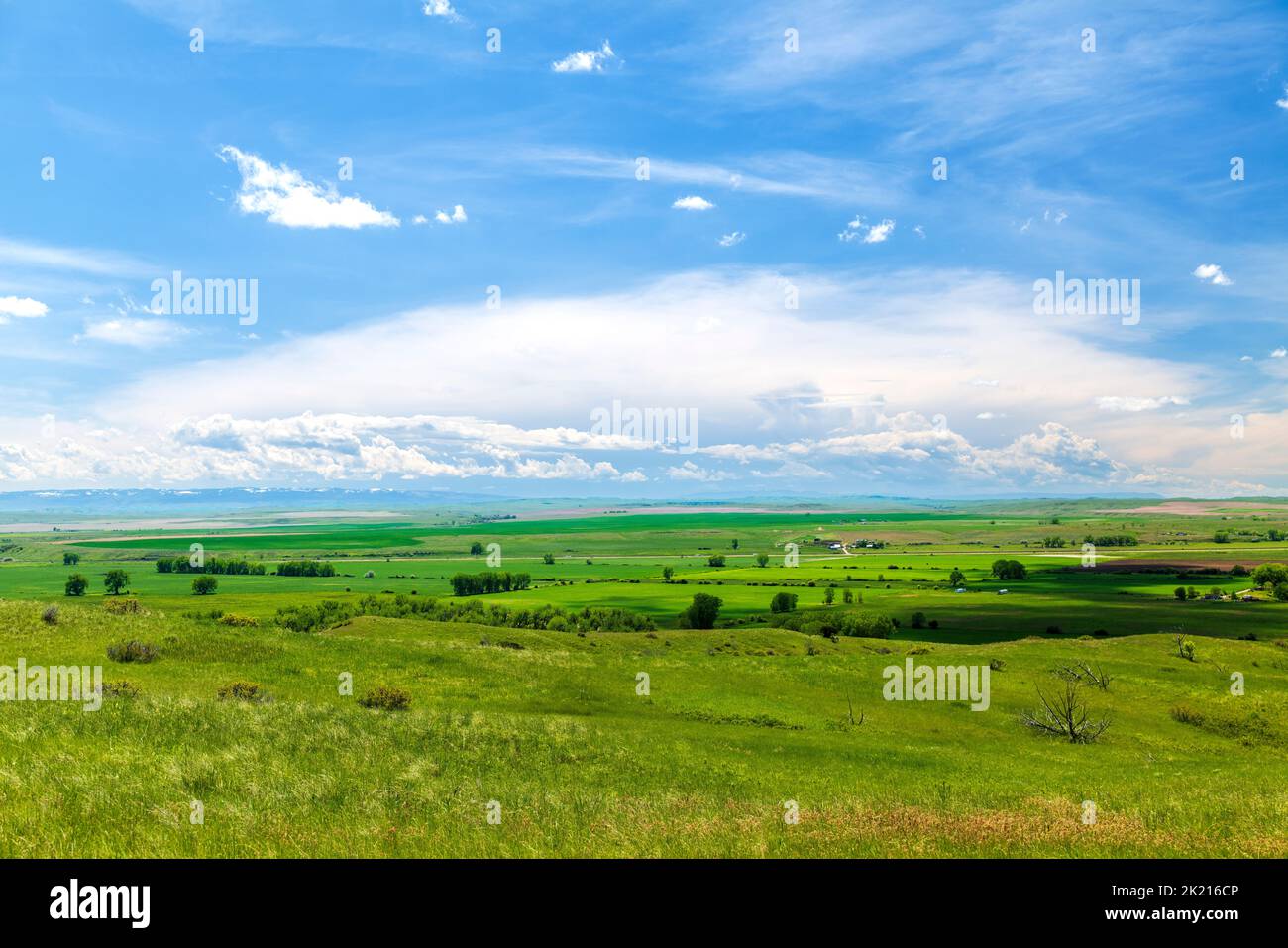 Sharpshooter's Ridge; Little Bighorn Battlefield National Monument; Montana; USA Foto Stock