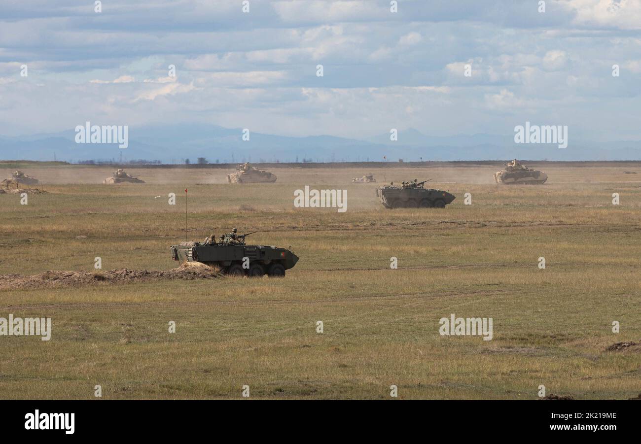 I veicoli da combattimento Bradley assegnati ad Alpha Company, 1st battaglione, 8th reggimento di fanteria, 3rd squadra di combattimento delle Brigate Armorate, 4th divisione di fanteria e Pandur II i veicoli da combattimento assegnati al contingente militare portoghese conducono un'esercitazione multinazionale combinata di armi da fuoco come parte di Justice Eagle 22 il 20 settembre 2022, Presso la zona di addestramento di Smardan, Romania. 1-8in nell'ambito del 101st, V Corps continuerà ad impegnarsi inarrestabile nei confronti dell'Europa e degli alleati della NATO. (STATI UNITI Foto dell'esercito da parte del personale Sgt. Malcolm Cohens-Ashley, 2nd Brigade Combat Team Public Affairs.) Foto Stock
