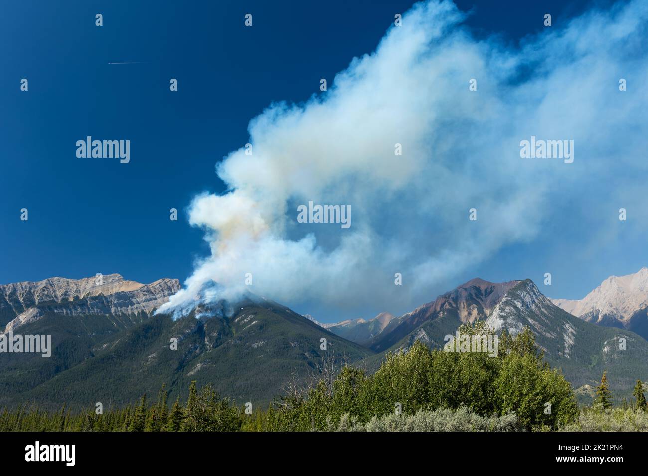 Foresta fuoco selvatico e fumo sul lato di una montagna Foto Stock