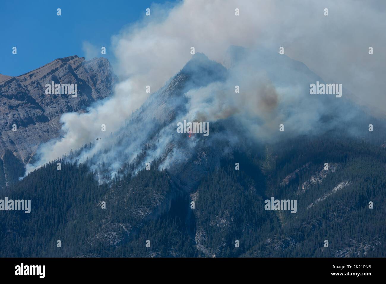 Foresta fuoco selvatico e fumo sul lato di una montagna Foto Stock