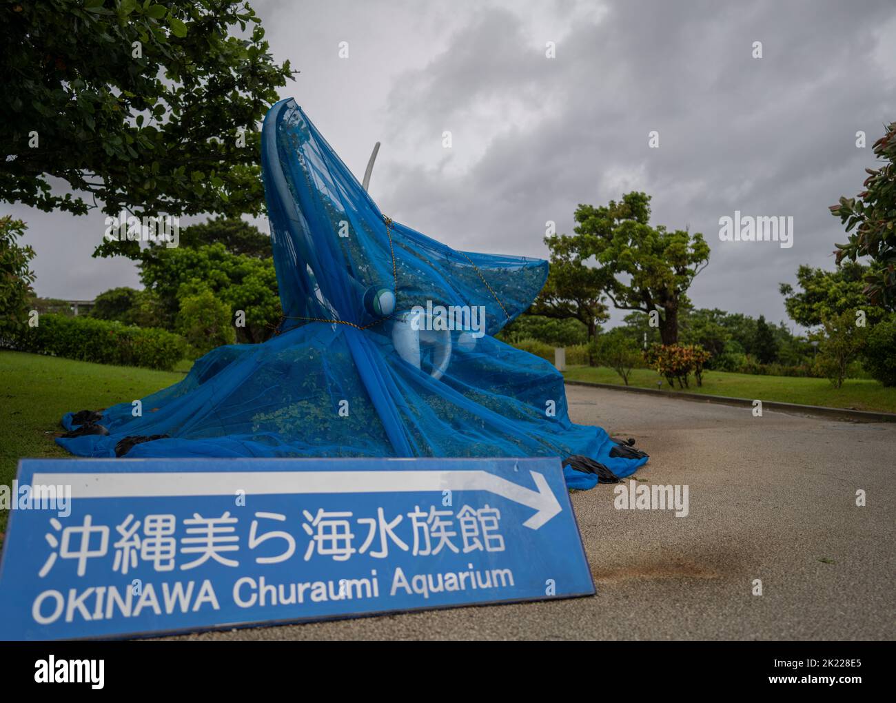 Preparazione al tifone / protezione delle mostre presso l'Acquario di Okinawa Churaumi sull'Isola principale di Okinawa Foto Stock