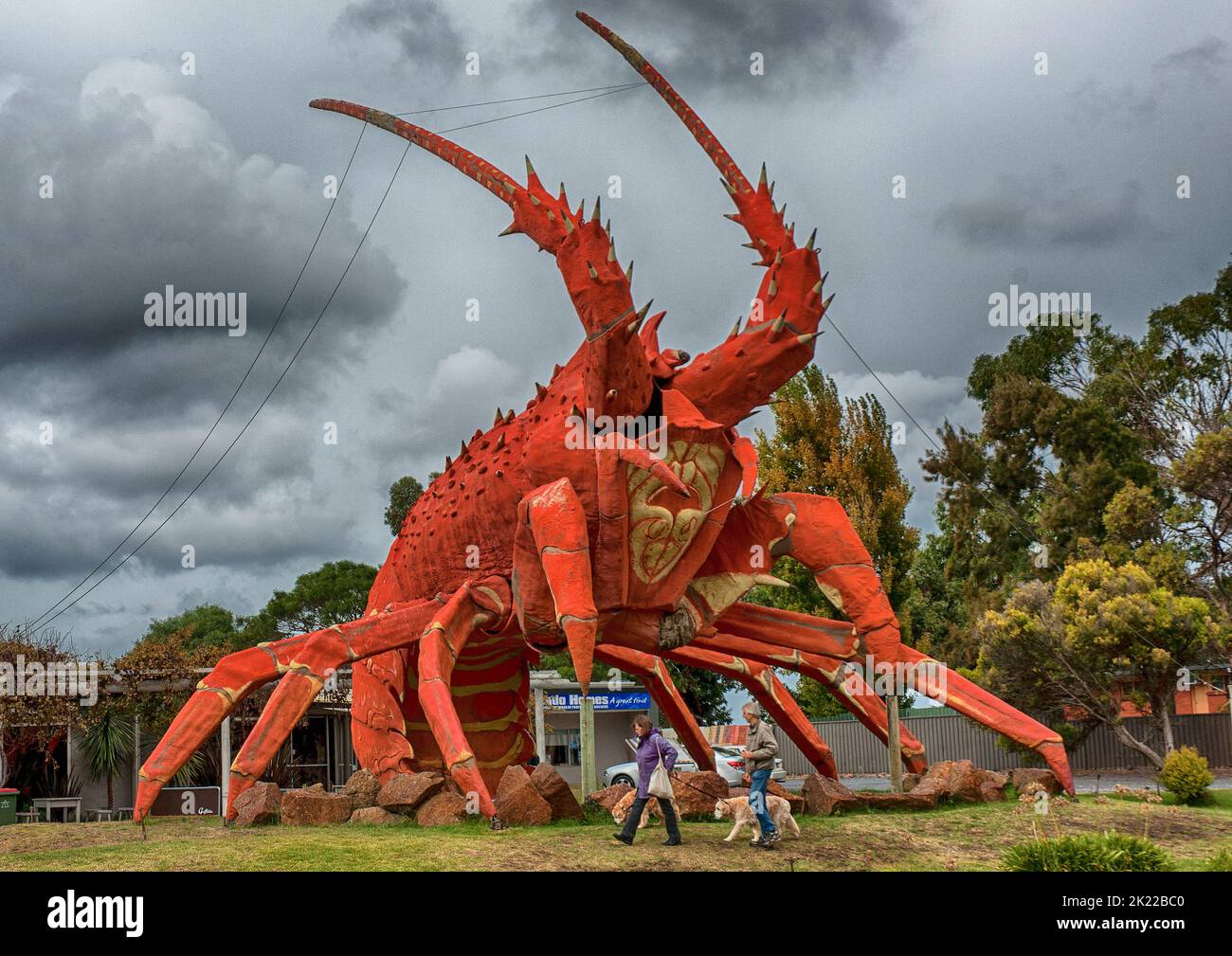 La grande aragosta, vicino Kingston, South Australia. Foto Stock