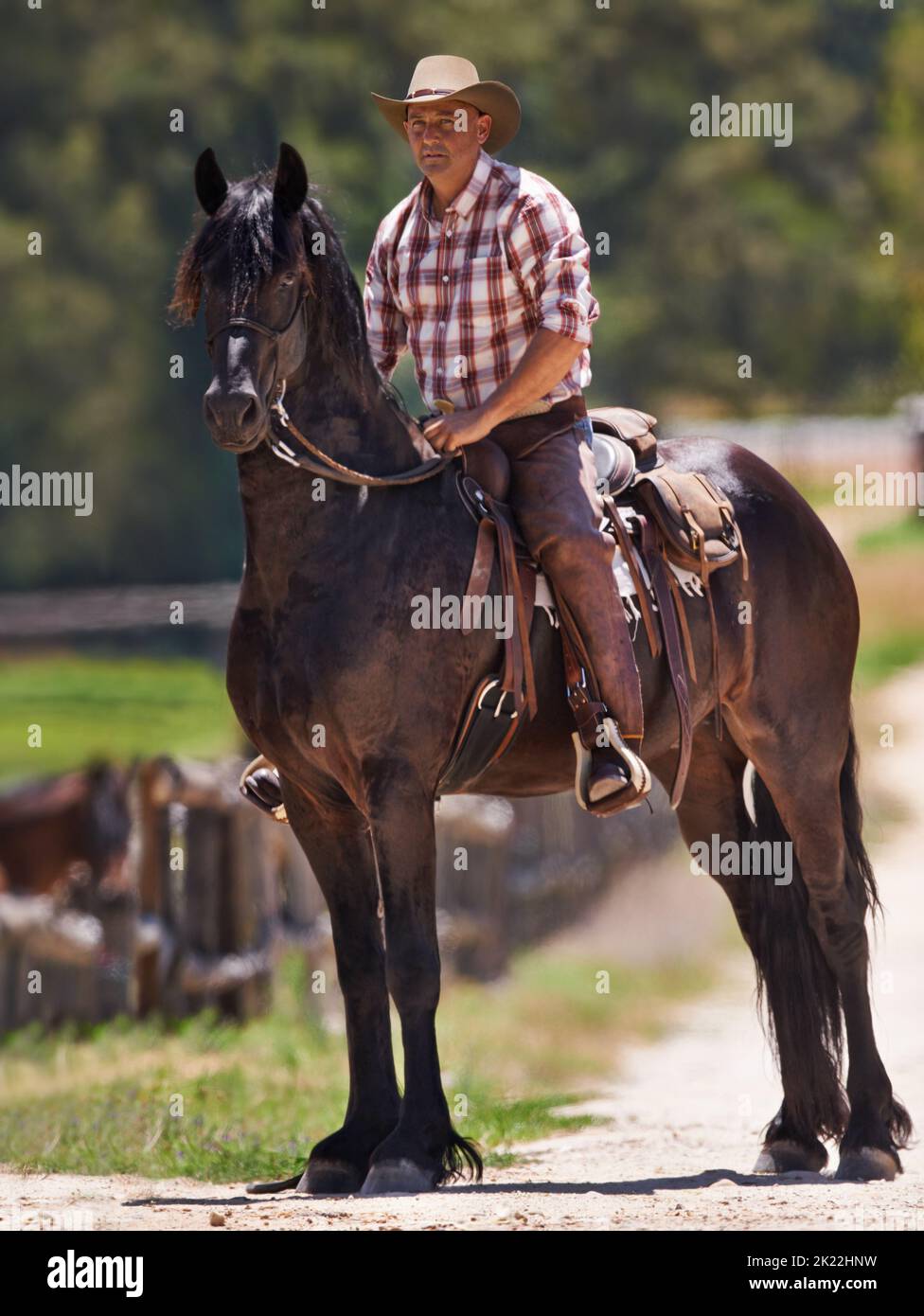 Il suo cavallo è il suo migliore amico, un cowboy seduto sul suo cavallo. Foto Stock