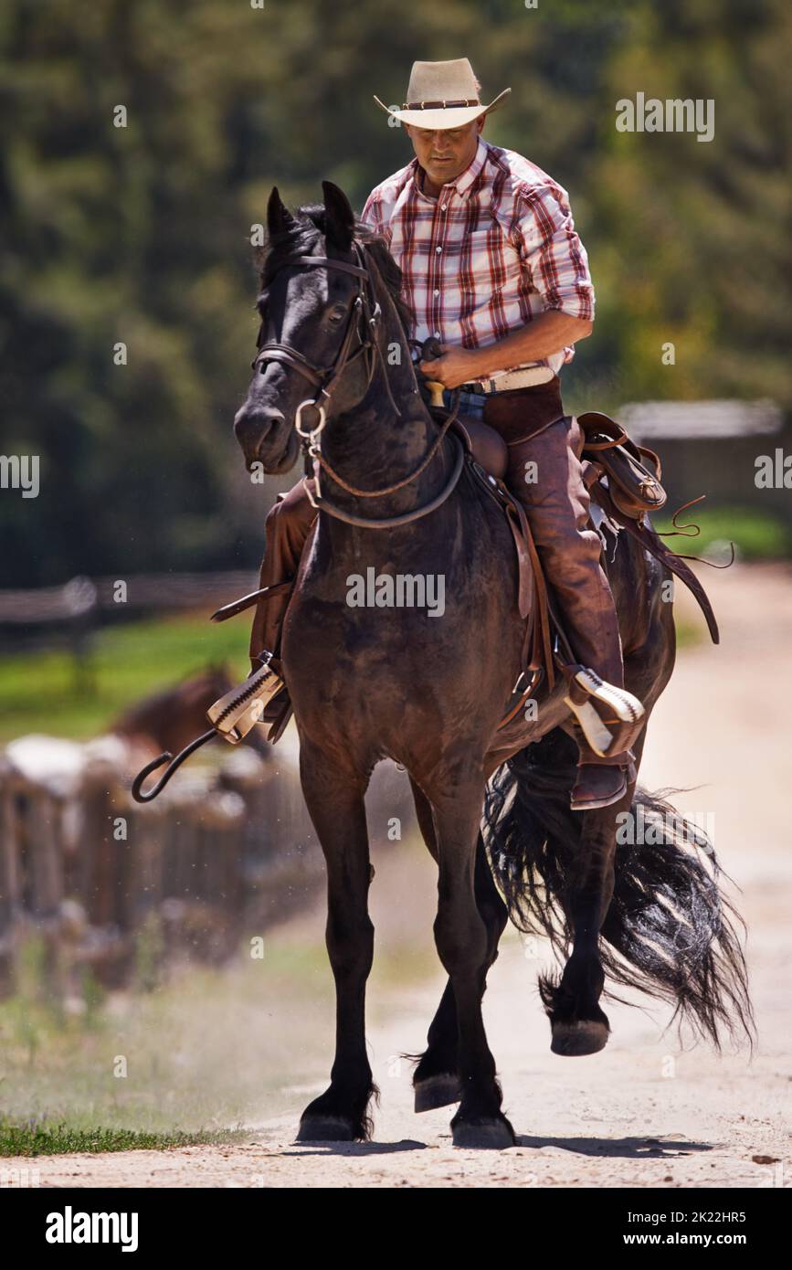 Il suo cavallo è il suo migliore amico, un cowboy che cavalca il suo cavallo in un ranch. Foto Stock