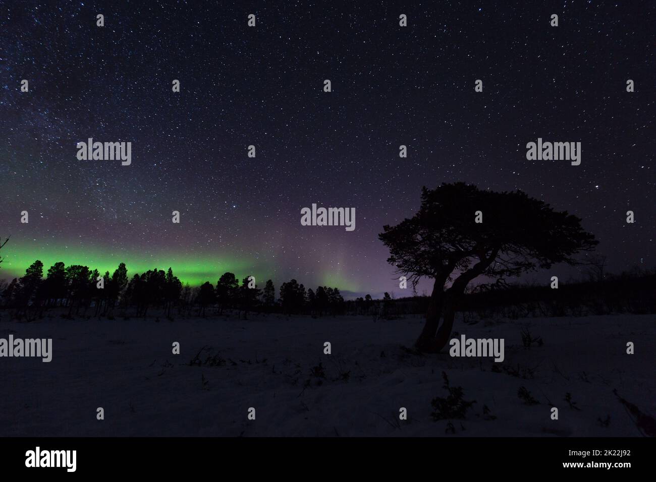 Aurora boreale in Svezia Foto Stock
