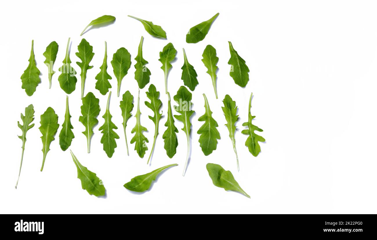 Foglie isolate di piante aromatiche culinarie utilizzate in cucina chiamato rucola su sfondo bianco copia spazio Foto Stock