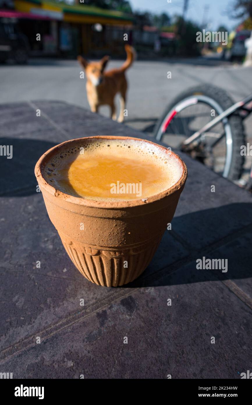 Tè caldo indiano speziato servito in un tradizionale vetro piatto di argilla chiamato Kulhad con India Pariah cane randagio sullo sfondo. Negozi di tè all'aperto sulla strada i Foto Stock