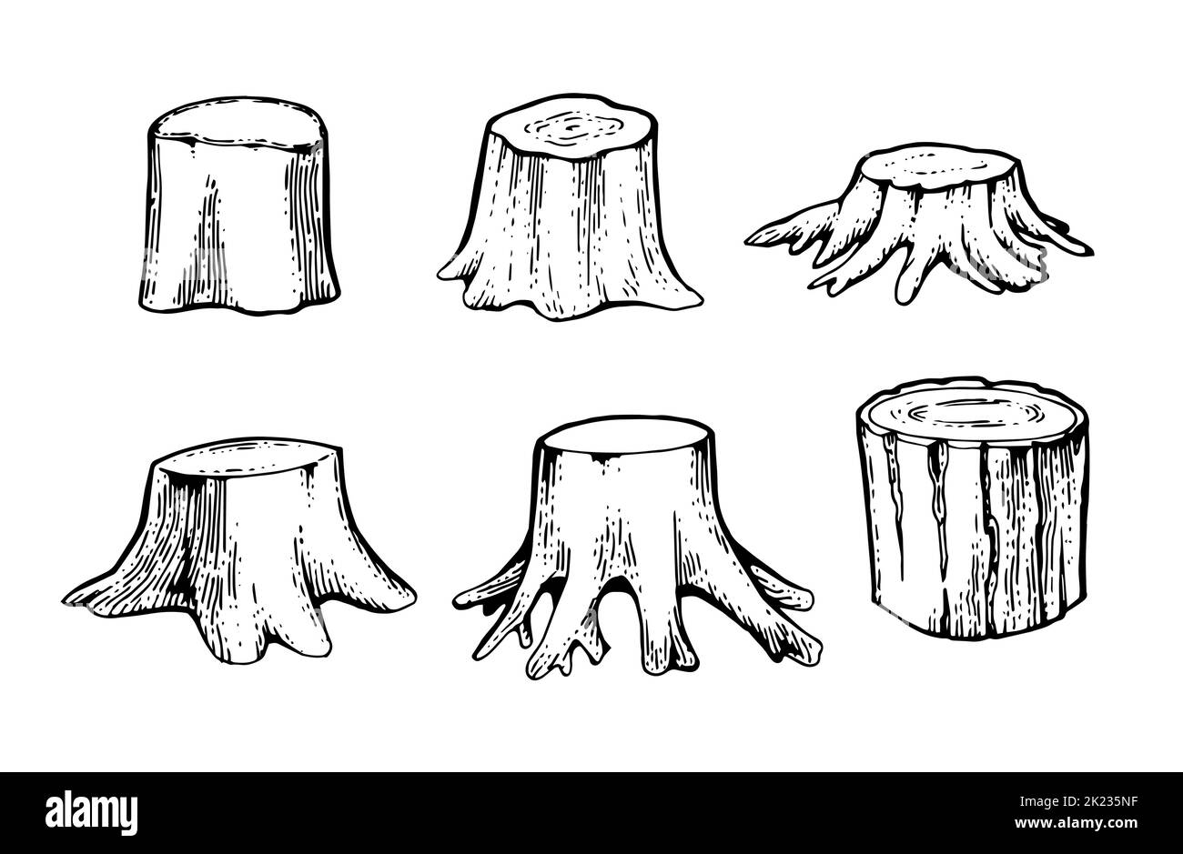 Set di moncone in legno. Albero rimanente con radici. Foresta o pianta di giardino. Schizzo del contorno disegnato a mano. Isolato su sfondo bianco. Vettore Illustrazione Vettoriale