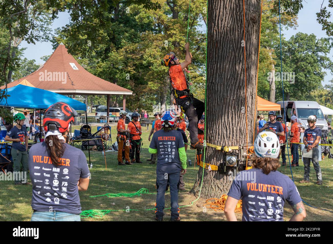 Detroit, Michigan - Arboristi professionisti competono nel Michigan Tree Climbing Championship. Foto Stock