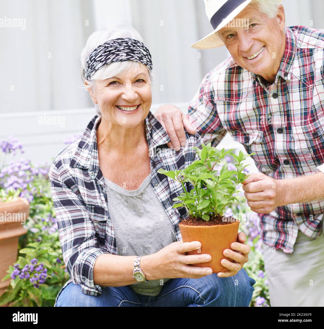 Trascorrere del tempo in giardino ci tiene giovani. Una coppia anziana felice che fa il giardinaggio occupato nel loro cortile posteriore. Foto Stock