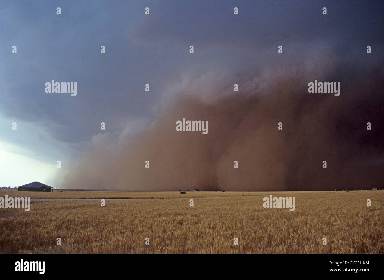 Un enorme muro di polvere corre a 50mph km di fronte a una tempesta di supercelle nella contea di Parmer, Texas Foto Stock