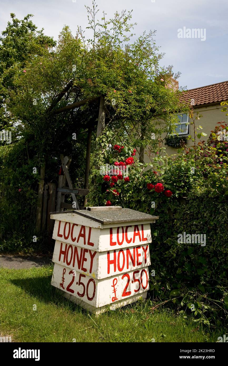 Bee Hive segno pubblicità miele locale per la vendita in Lincolnshire, Inghilterra Foto Stock