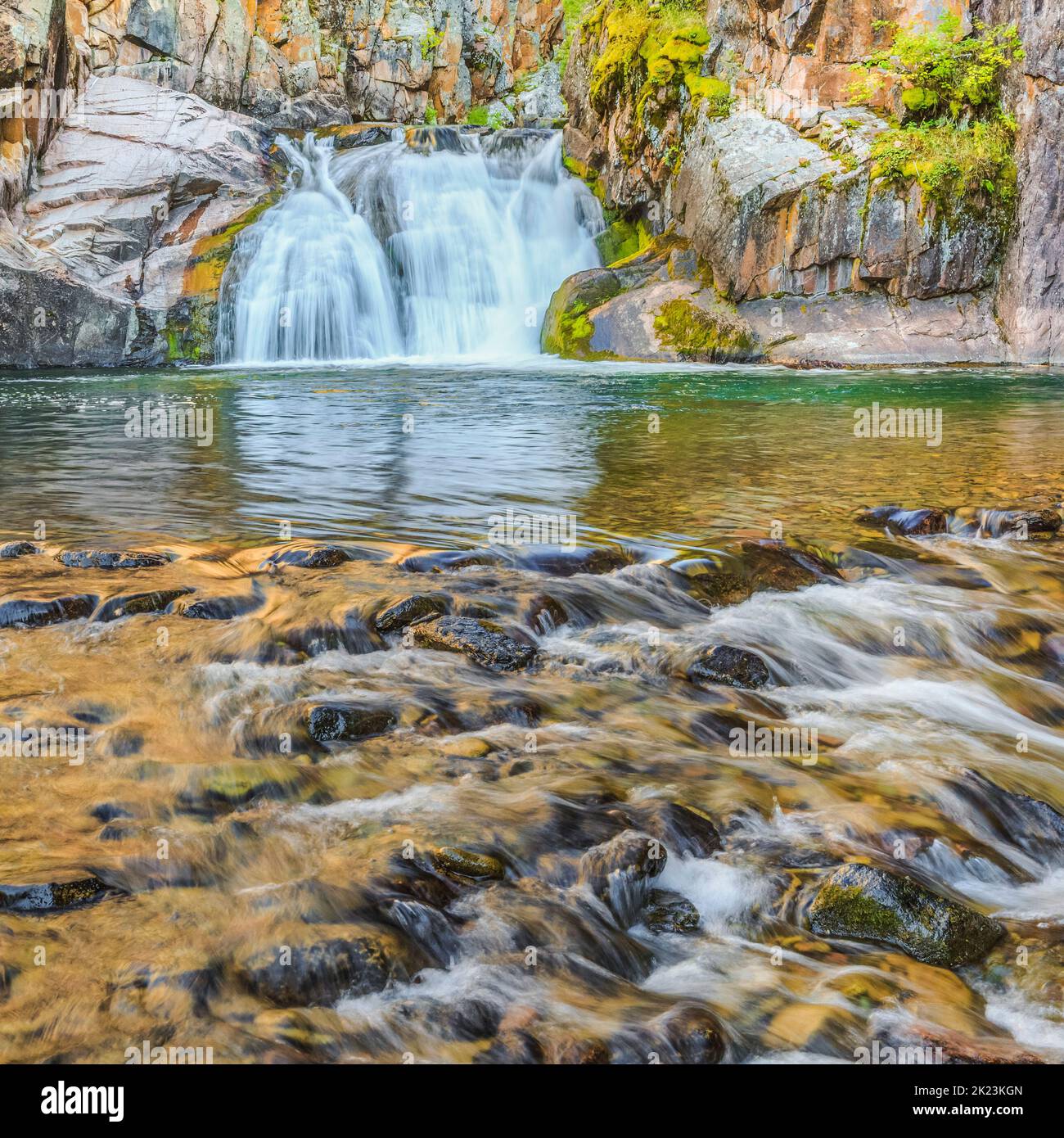 Cascata lungo tenderfoot creek nel piccolo belt le montagne vicino al bianco delle molle di zolfo, montana Foto Stock