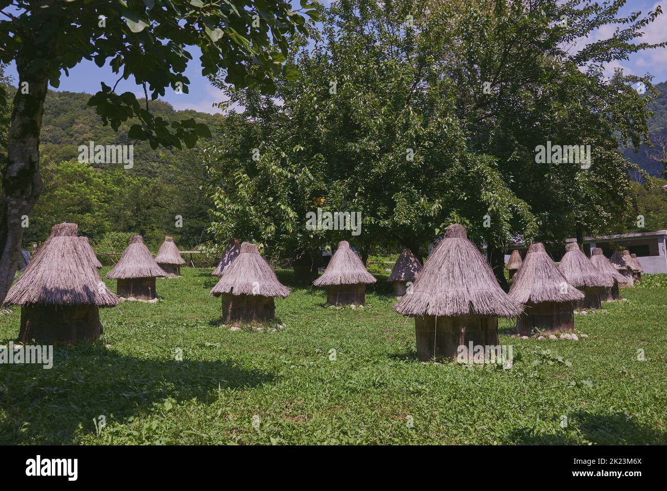 Alveari di api con tetti di paglia in fila tra gli alberi. Foto Stock