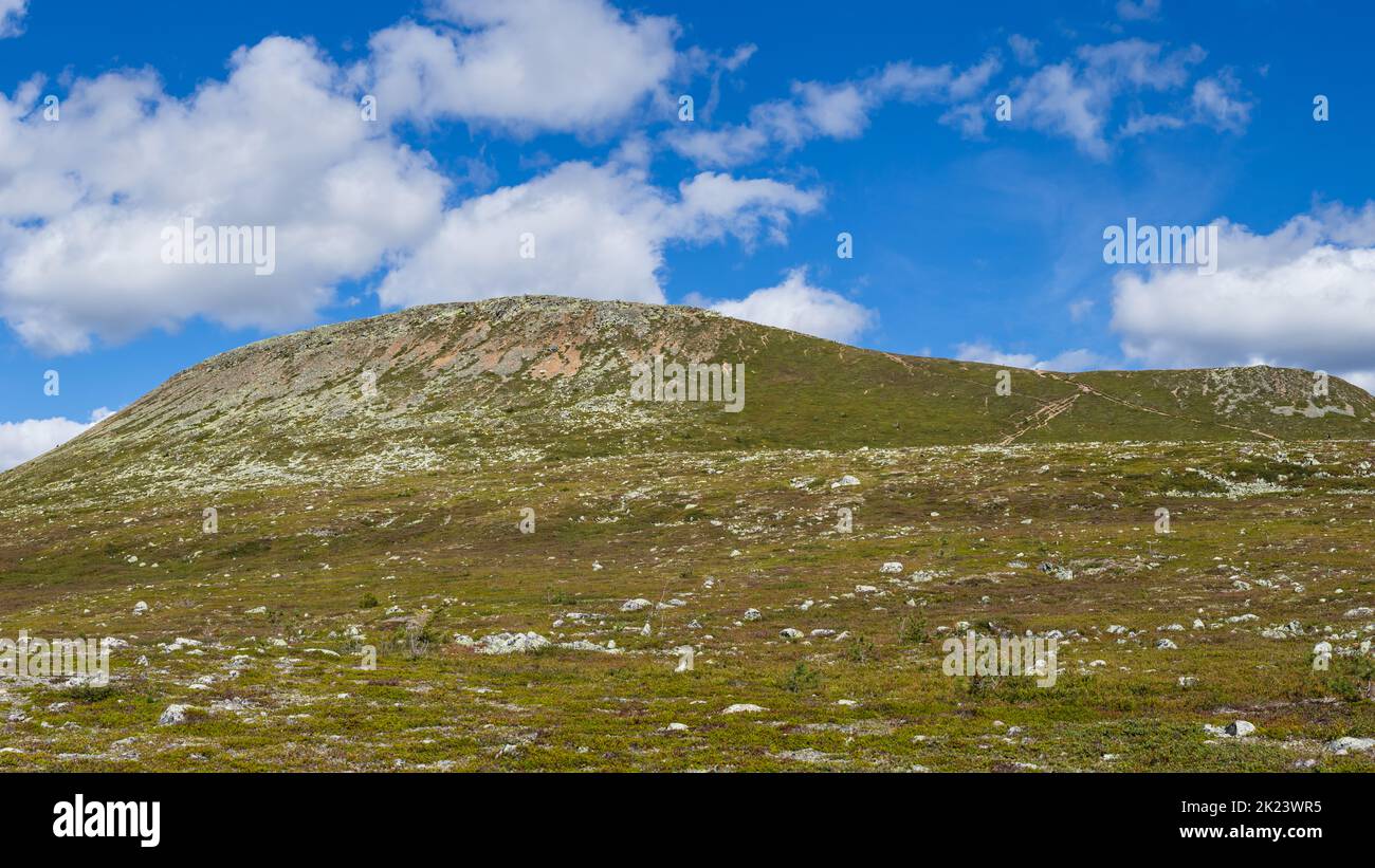 Stadjan, Svezia: Vetta montana nella riserva naturale di Stadjan Nipfjallet Foto Stock