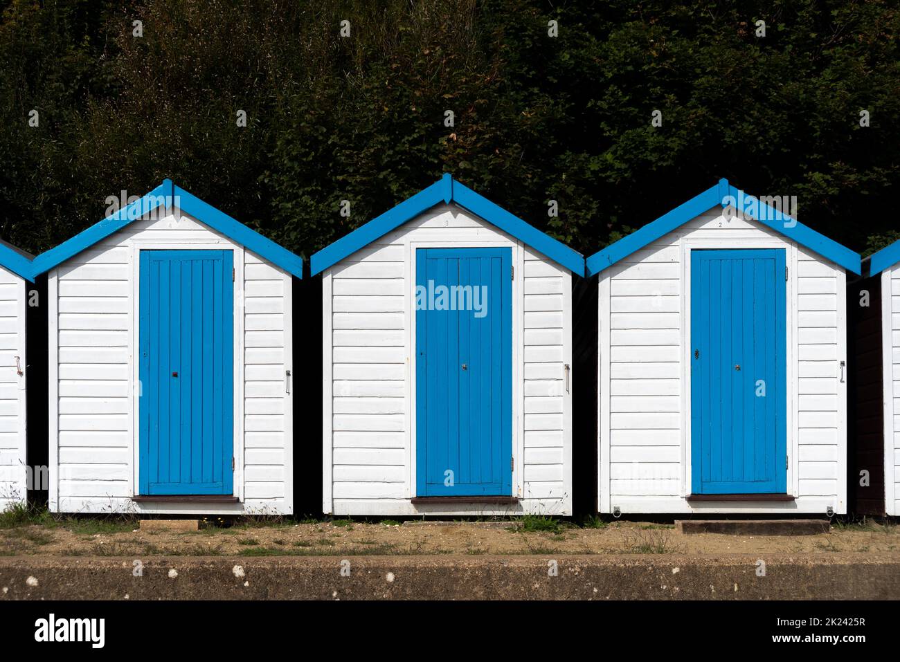 Le capanne bianche e blu luminose si distinguono dal fogliame scuro dietro di loro su una spiaggia inglese. Foto Stock