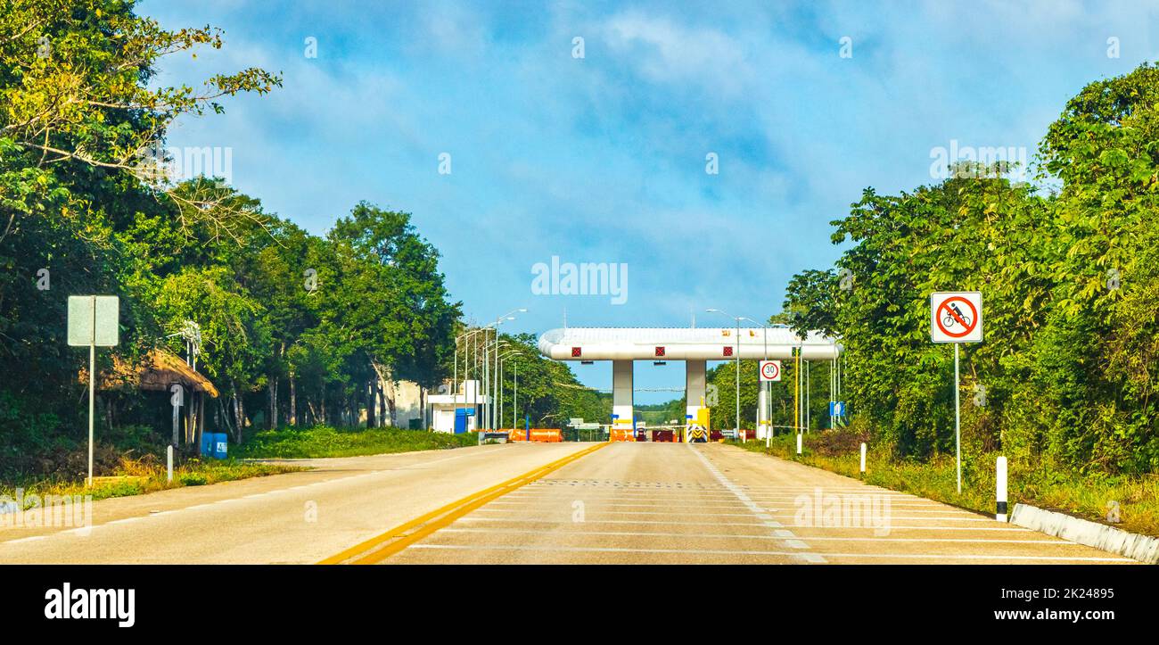 Guida sull'autostrada nella giungla e natura tropicale di Playa del Carmen Quintana Roo e Lázaro Cárdenas Messico. Foto Stock