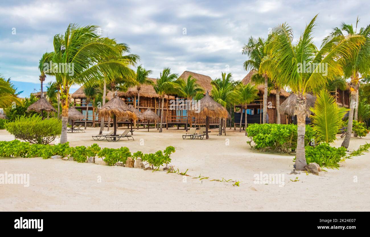 Strada sabbiosa fangosa percorso a piedi e vista del paesaggio con natura tropicale sulla splendida isola di Holbox in Quintana Roo Messico. Foto Stock