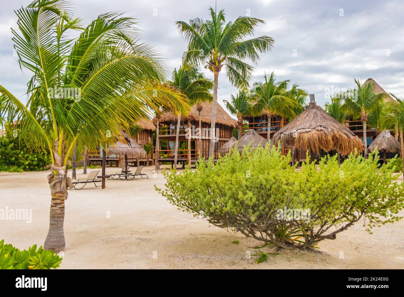 Strada sabbiosa fangosa percorso a piedi e vista del paesaggio con natura tropicale sulla splendida isola di Holbox in Quintana Roo Messico. Foto Stock