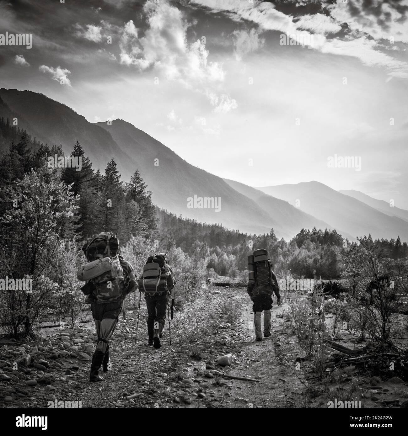 30th del 2018 luglio, Russia, regione di montagna Kodar, escursionisti sullo sfondo di montagne e alberi nero e whote Foto Stock