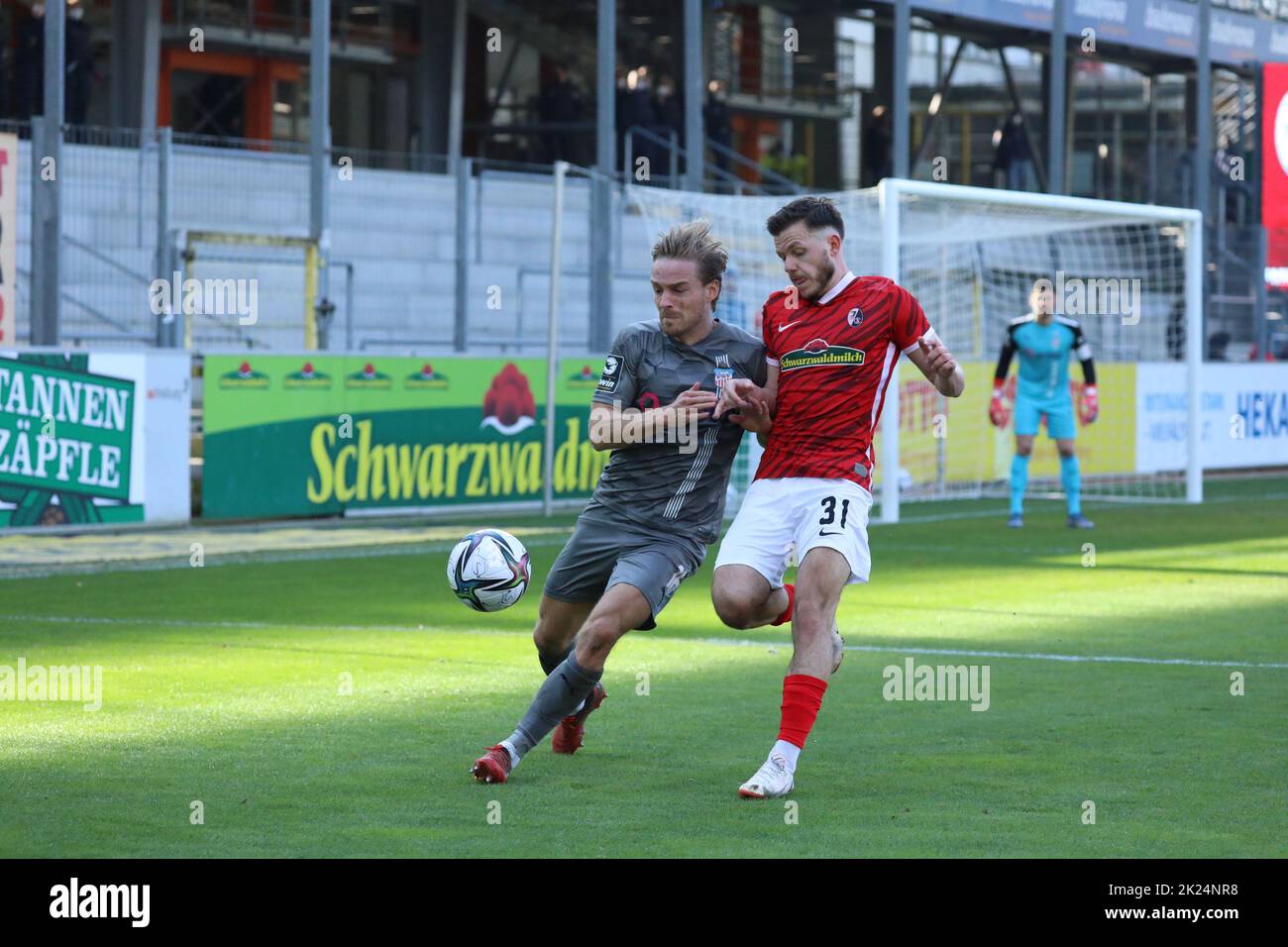 zweikampf vs Nils Butzen (FSV Zwickau) und Kammerbauer Patrick (SC Freiburg II U23) im Spiel der 3. FBL: 21-22: 29. Sptg. SC Friburgo II / Foto Stock