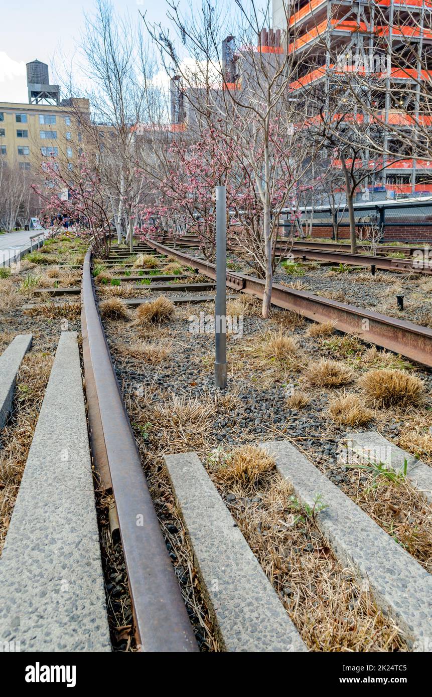 Railroad Track con alberi e fiori rosa all'High Line Rooftop Park, New York City durante la soleggiata giornata invernale, verticale Foto Stock