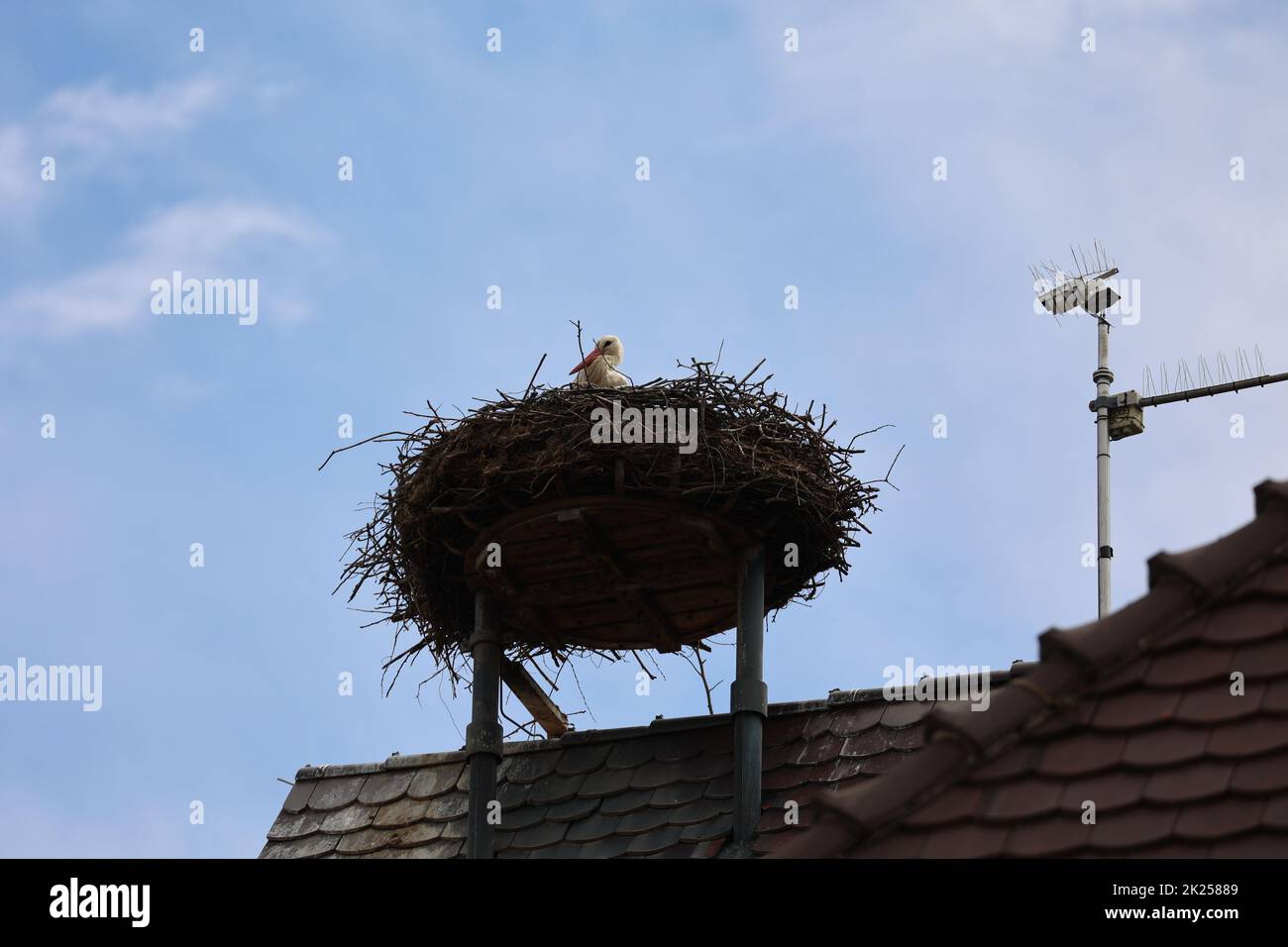 Stickennest mit Storch auf dem Kirchturm von Gundelfingen (Landkreis Breisgau-Hochschwarzwald) Foto Stock