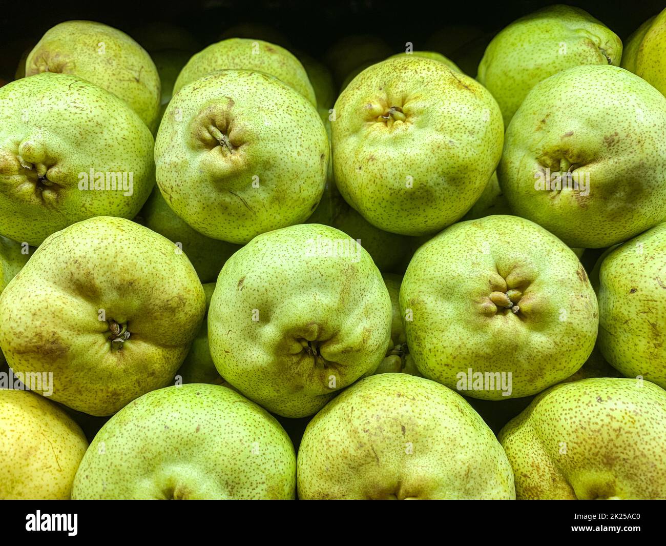 Pere verdi nel mercato. Pere Packham fresche. Primo piano. Foto Stock