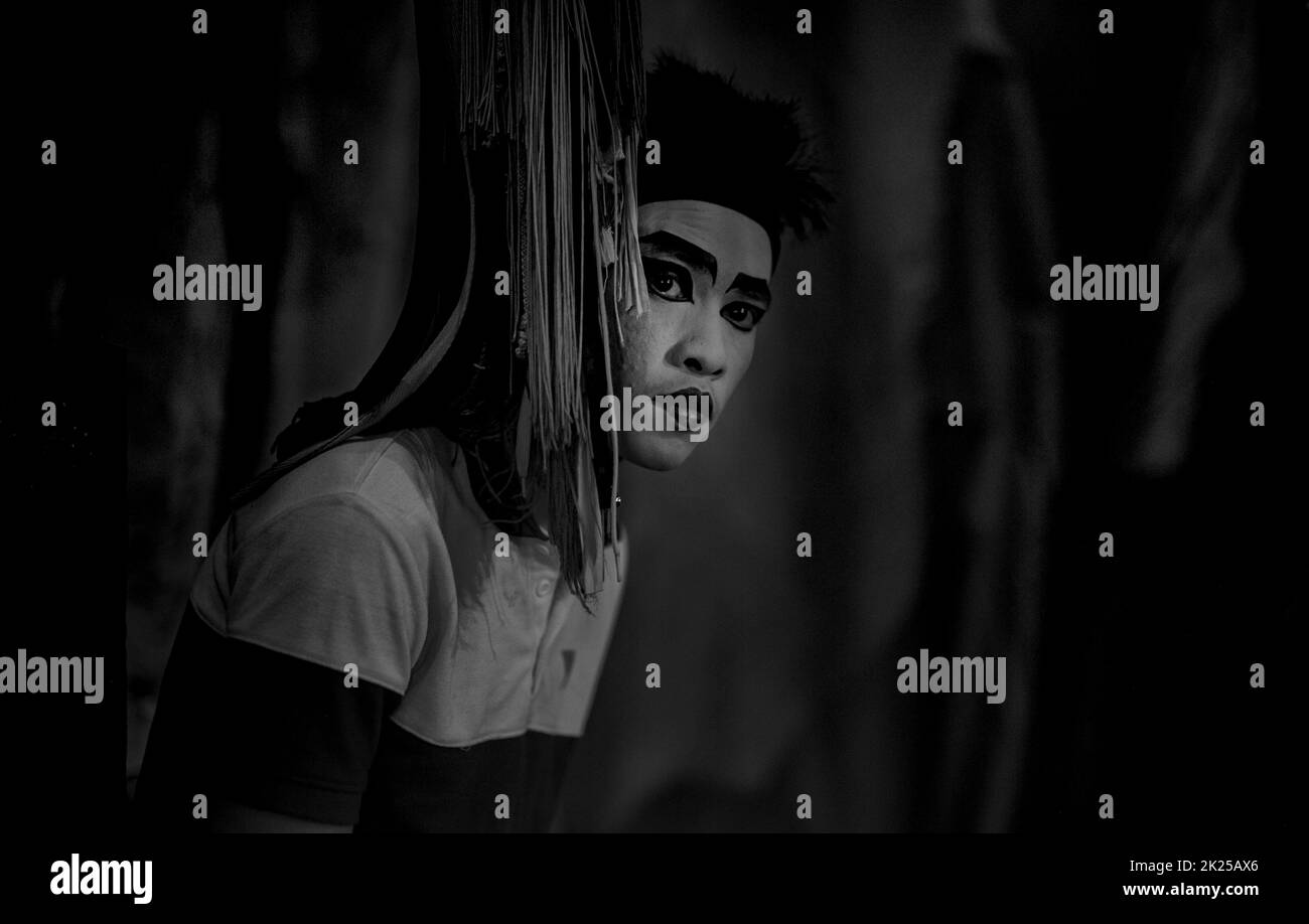 Opere d'arte dello spettacolo dell'Opera cinese Foto Stock