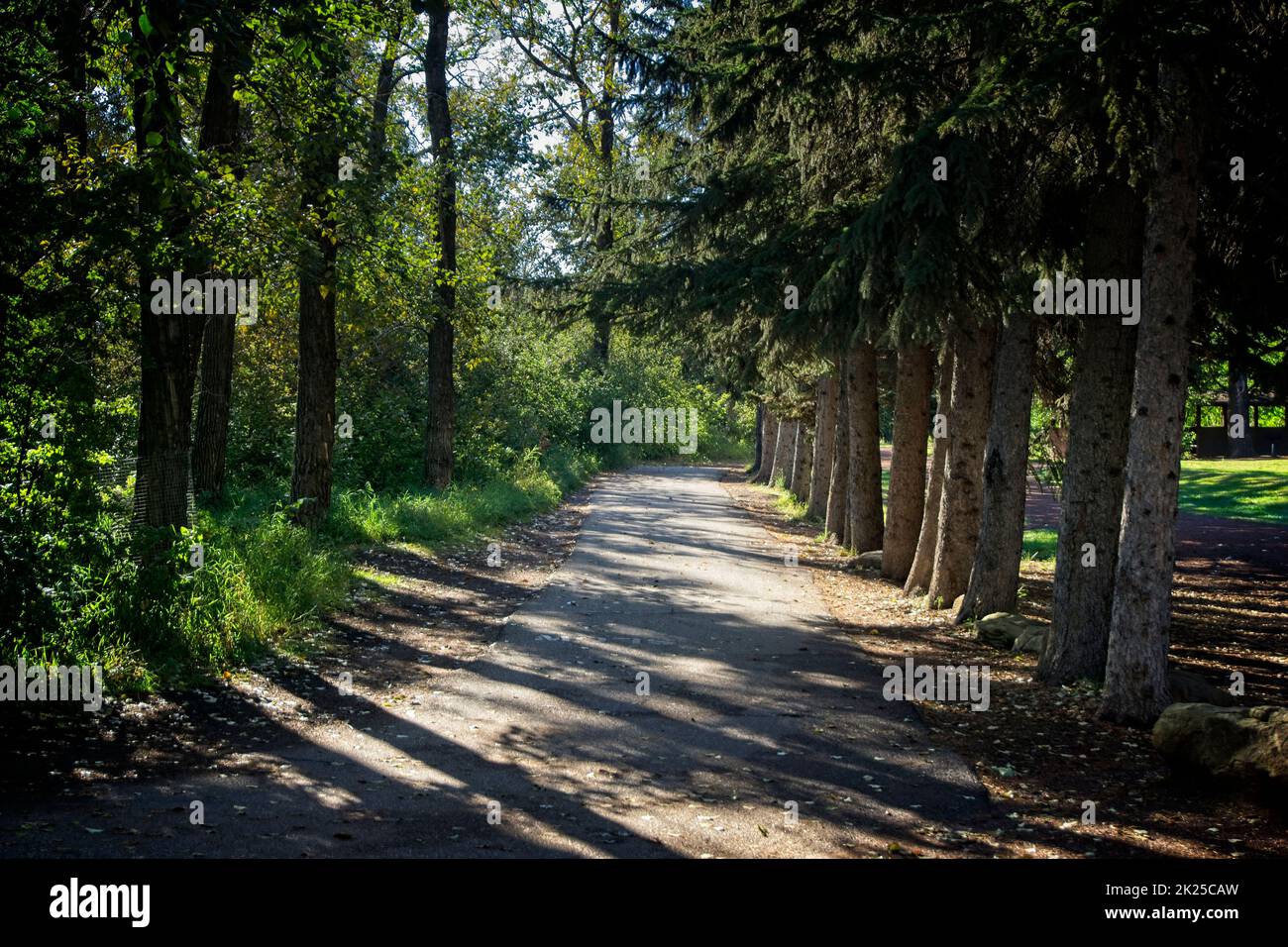 Edworthy Park Calgary Alberta Foto Stock