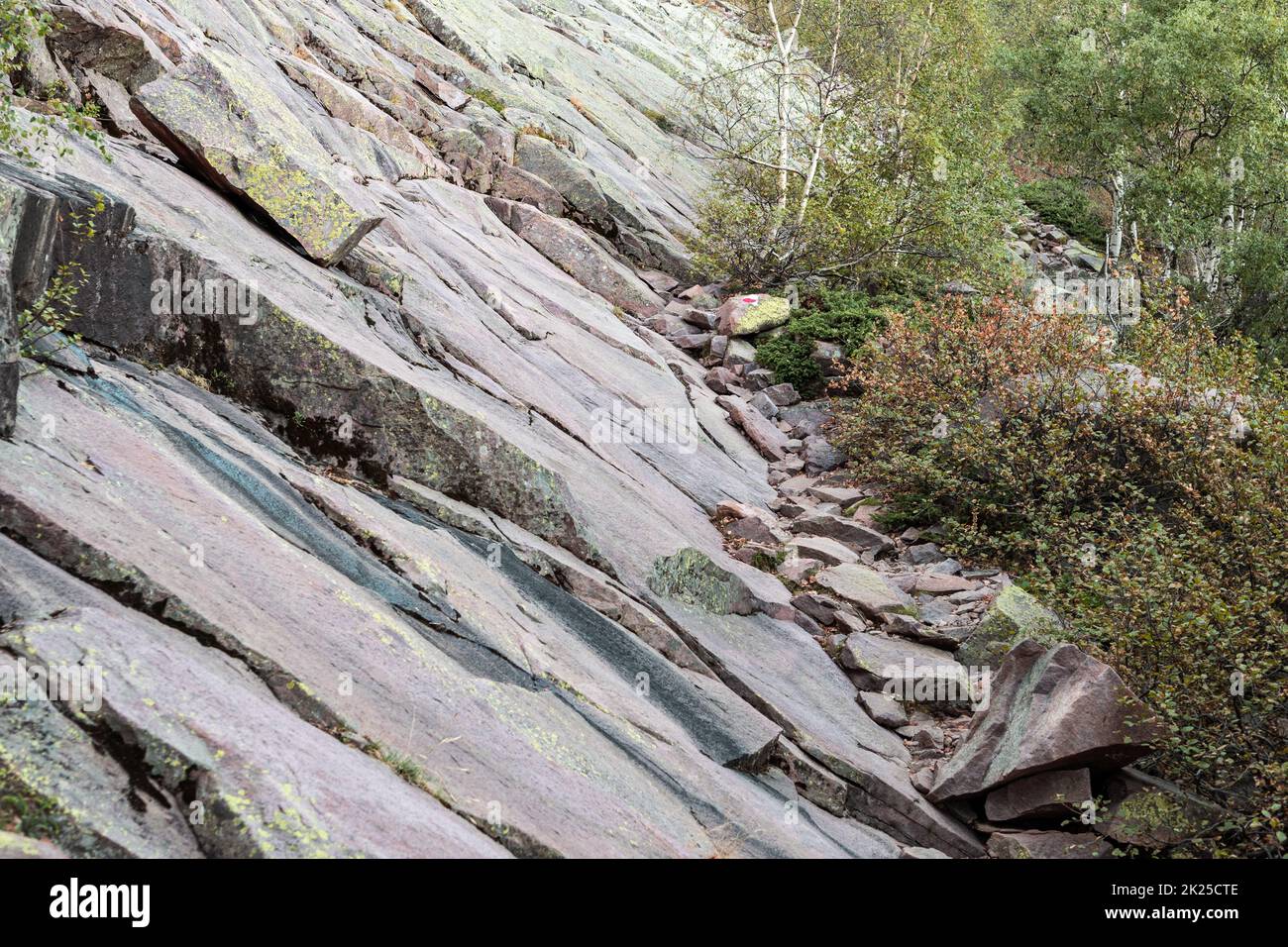 Lastre di roccia tra Ortu di u Piobbu e Carrozzu, GR20, Corsica, Francia Foto Stock