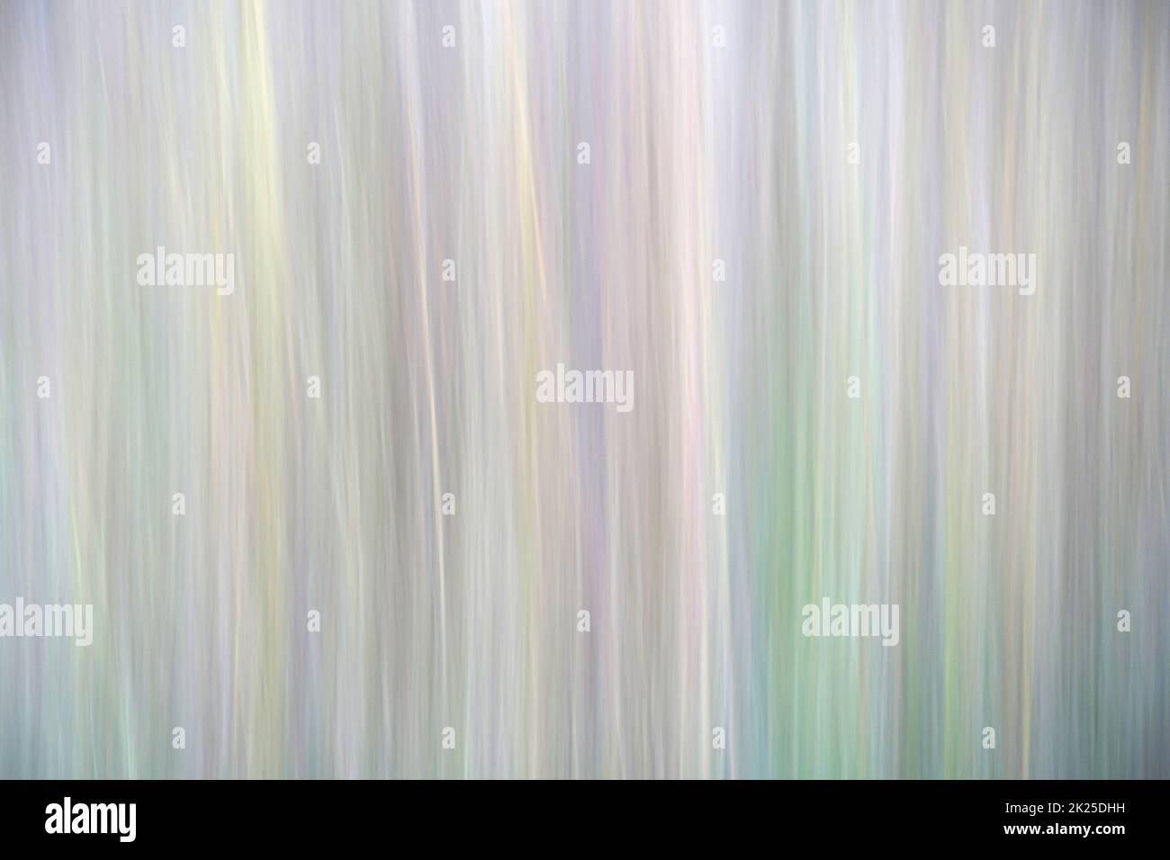 Un motivo colorato. La foto viene sfocata eseguendo una panoramica della fotocamera. Delle erbacce. Foto Stock