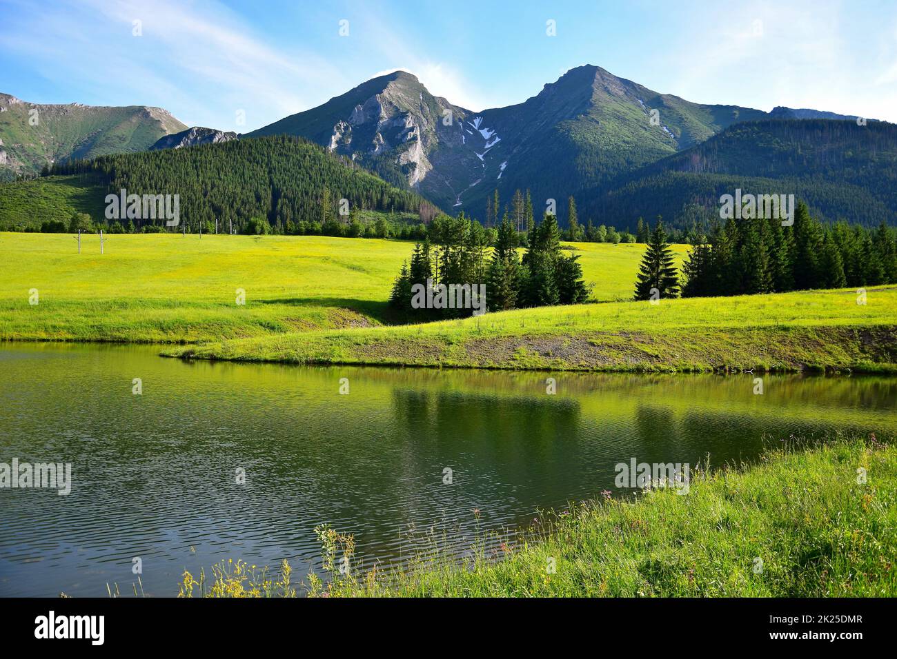 Havran e Zdiarska vidla, le due montagne più alte del Tatry di Belianske. Uno stagno e un prato fiorito di fronte. Slovacchia. Foto Stock