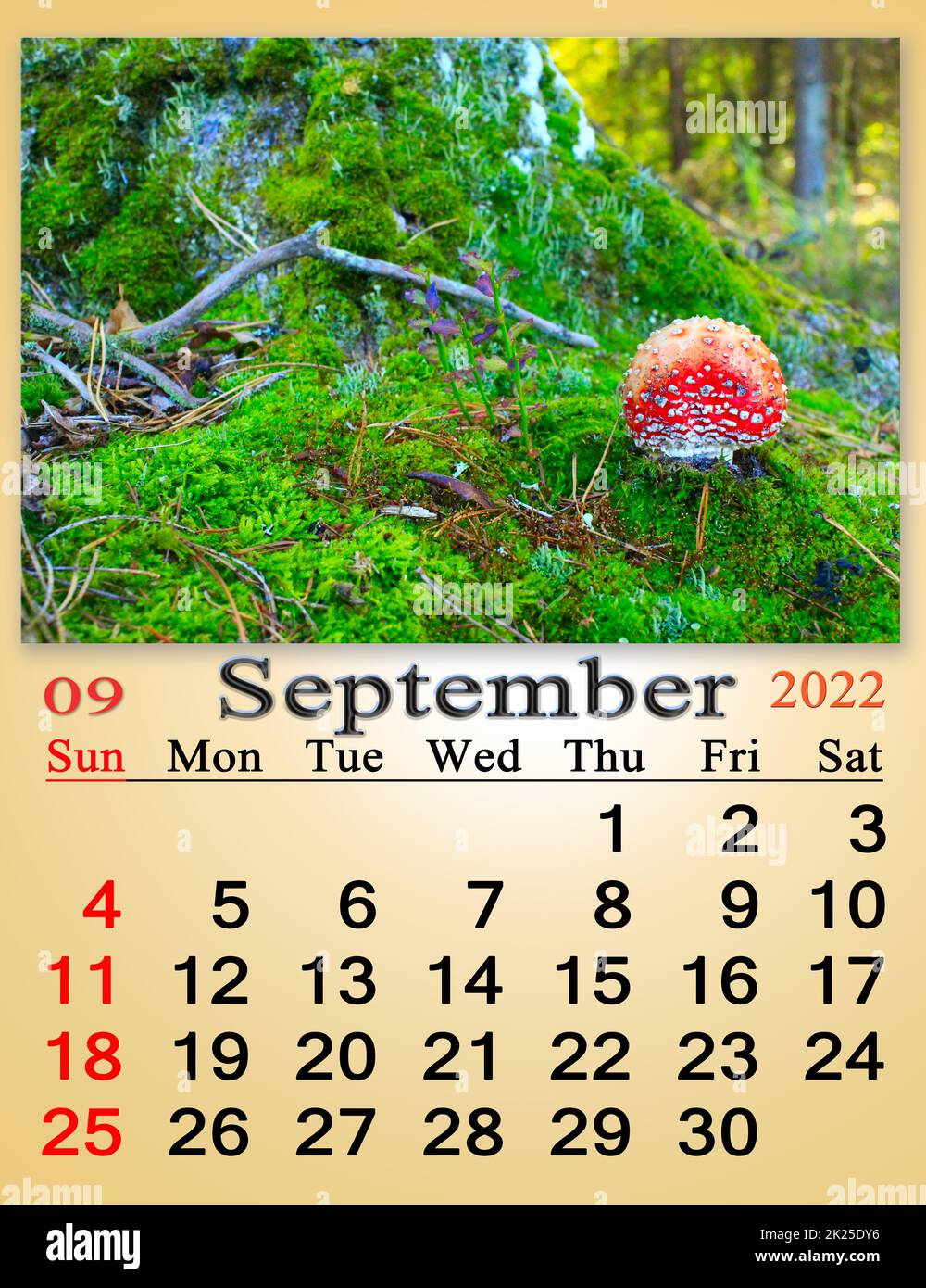 calendario per ottobre 2022 con immagine di agarico mosca crescente in muschio verde Foto Stock