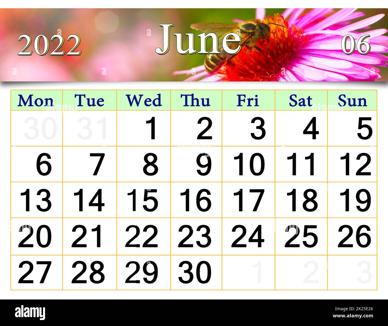 Giugno 2022 Calendario per l'organizzatore di pianificare e promemoria sulla natura sfondo Foto Stock