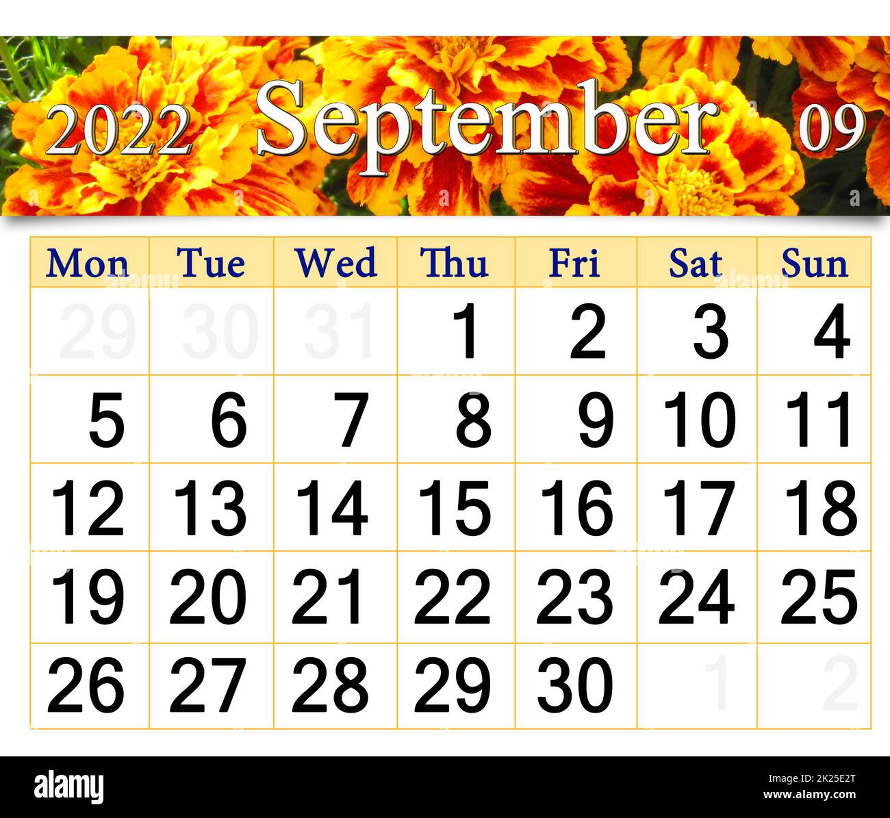 calendario per settembre 2022 con fiori d'autunno marigolds. Calendario stampabile Foto Stock