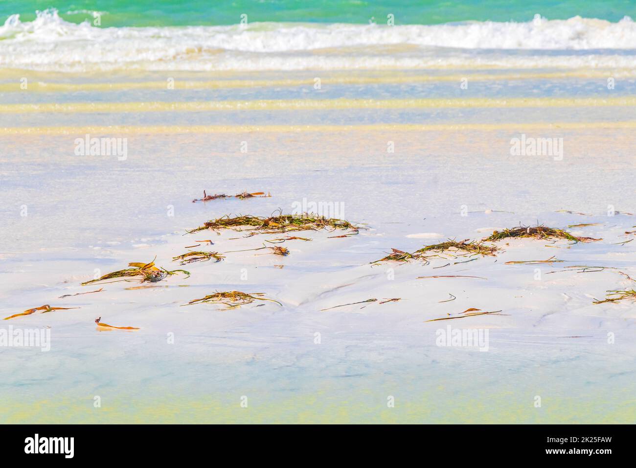 Bellissima isola di Holbox spiaggia sabbiosa turchese acque chiare onde Messico. Foto Stock