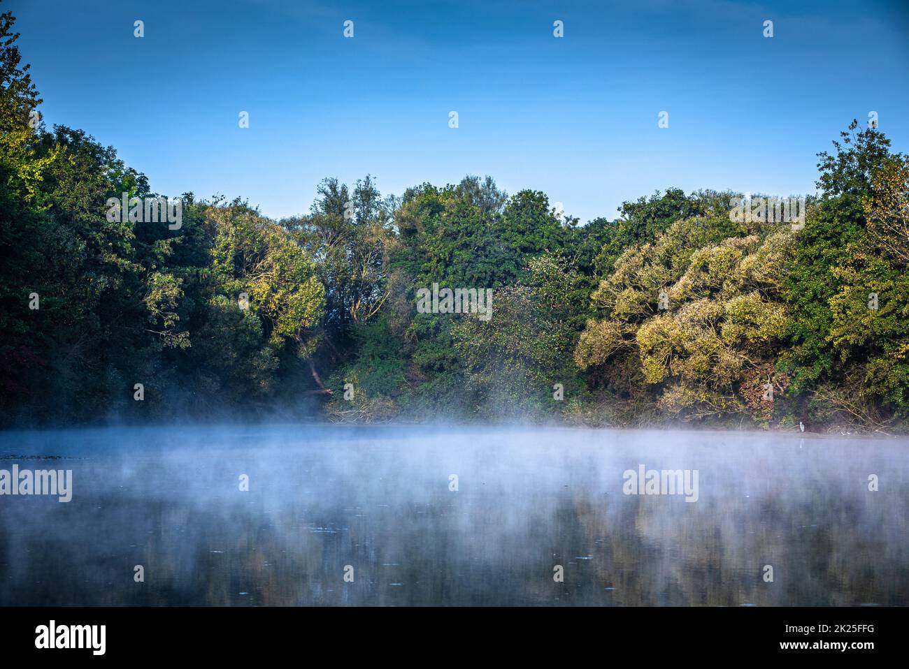 lago idilliaco con nebbia in superficie Foto Stock