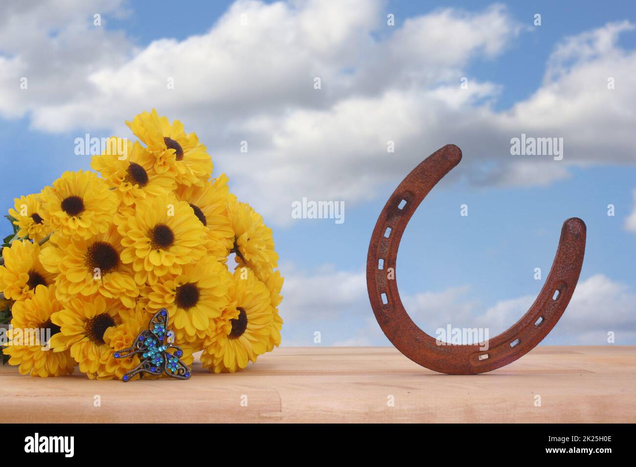 Fiori gialli e Gioielli delle Farfalle con cielo blu e ferro di cavallo Foto Stock