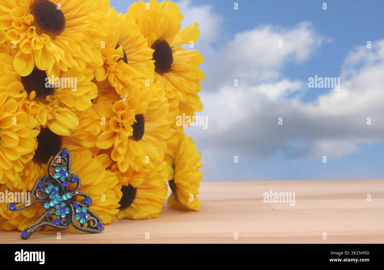 Fiori gialli e farfalla Jwelry con cielo blu Foto Stock