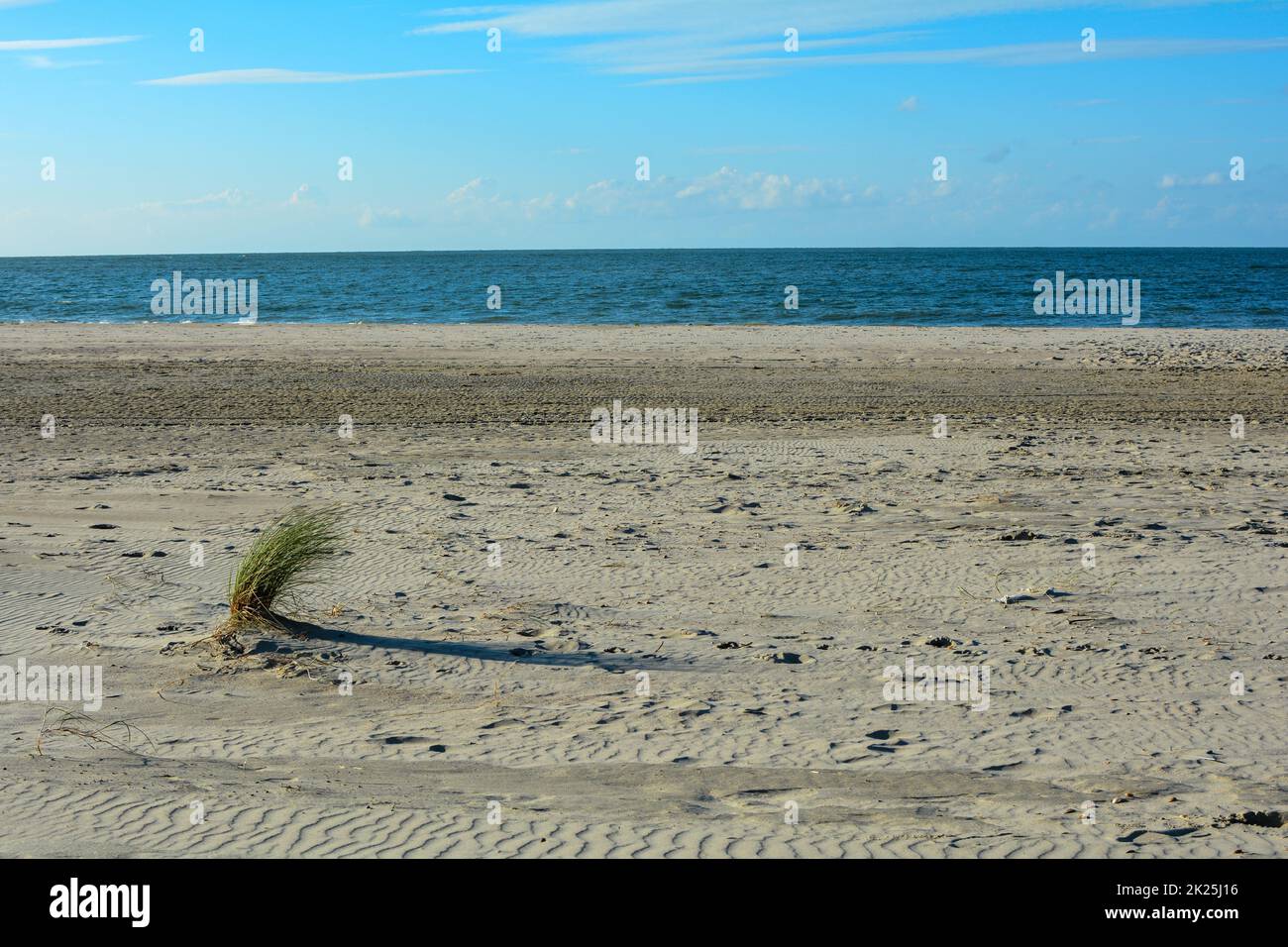 Dune erba nella sabbia sulla spiaggia di fronte al mare Foto Stock