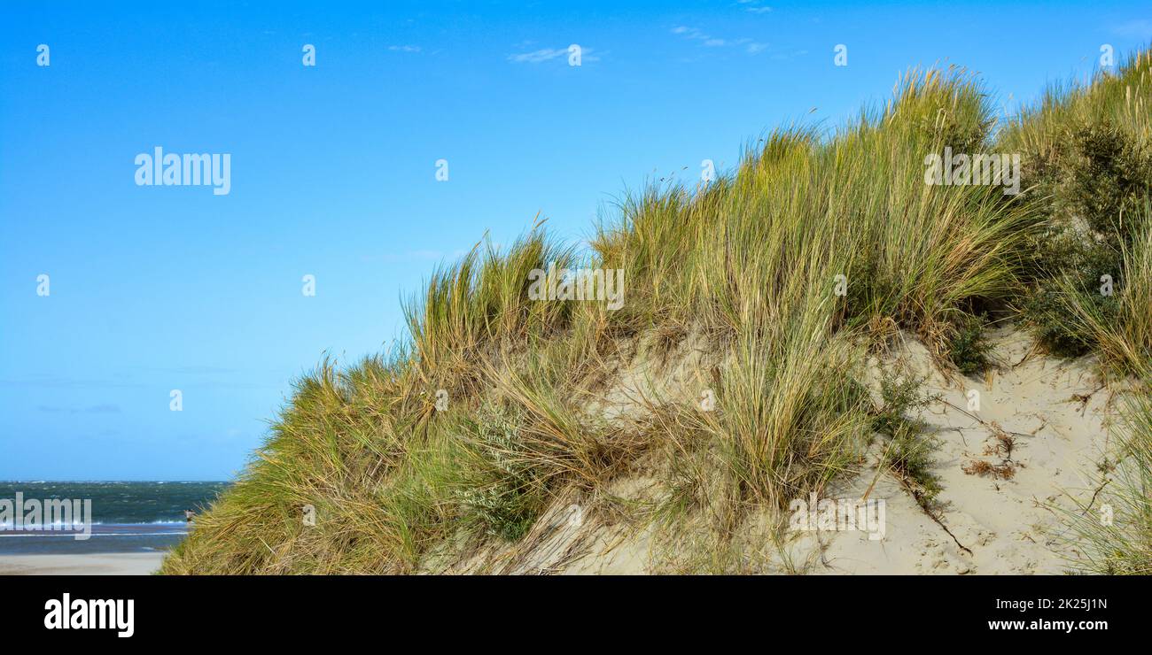 Dune di sabbia con erba spiaggia e cielo Foto Stock