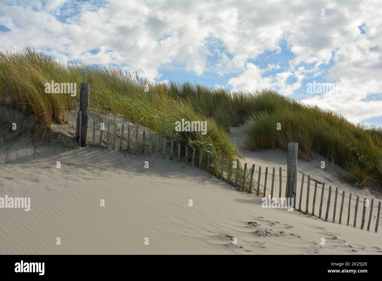 Duna di sabbia con erba spiaggia e una recinzione di legno Foto Stock
