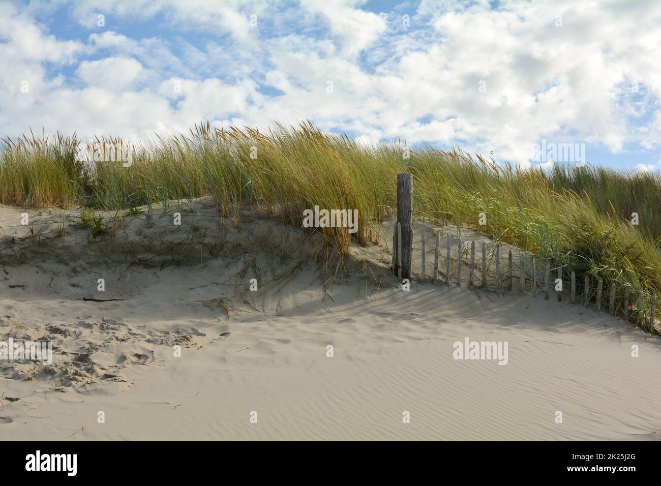 Duna di sabbia con erba della spiaggia e parte di una recinzione di legno Foto Stock