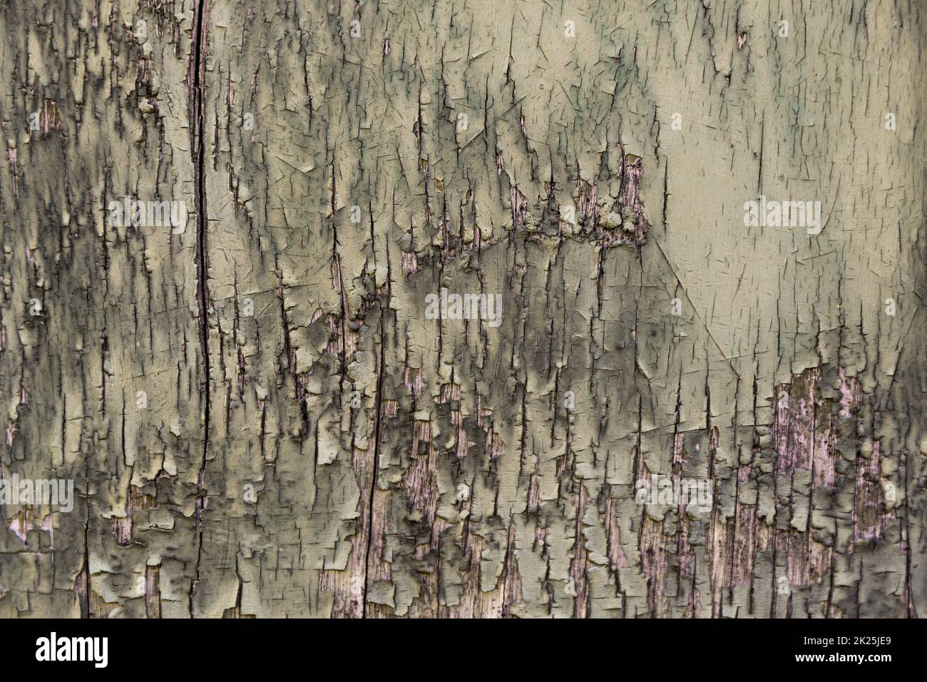 Superficie di legno verde intemperiato Foto Stock