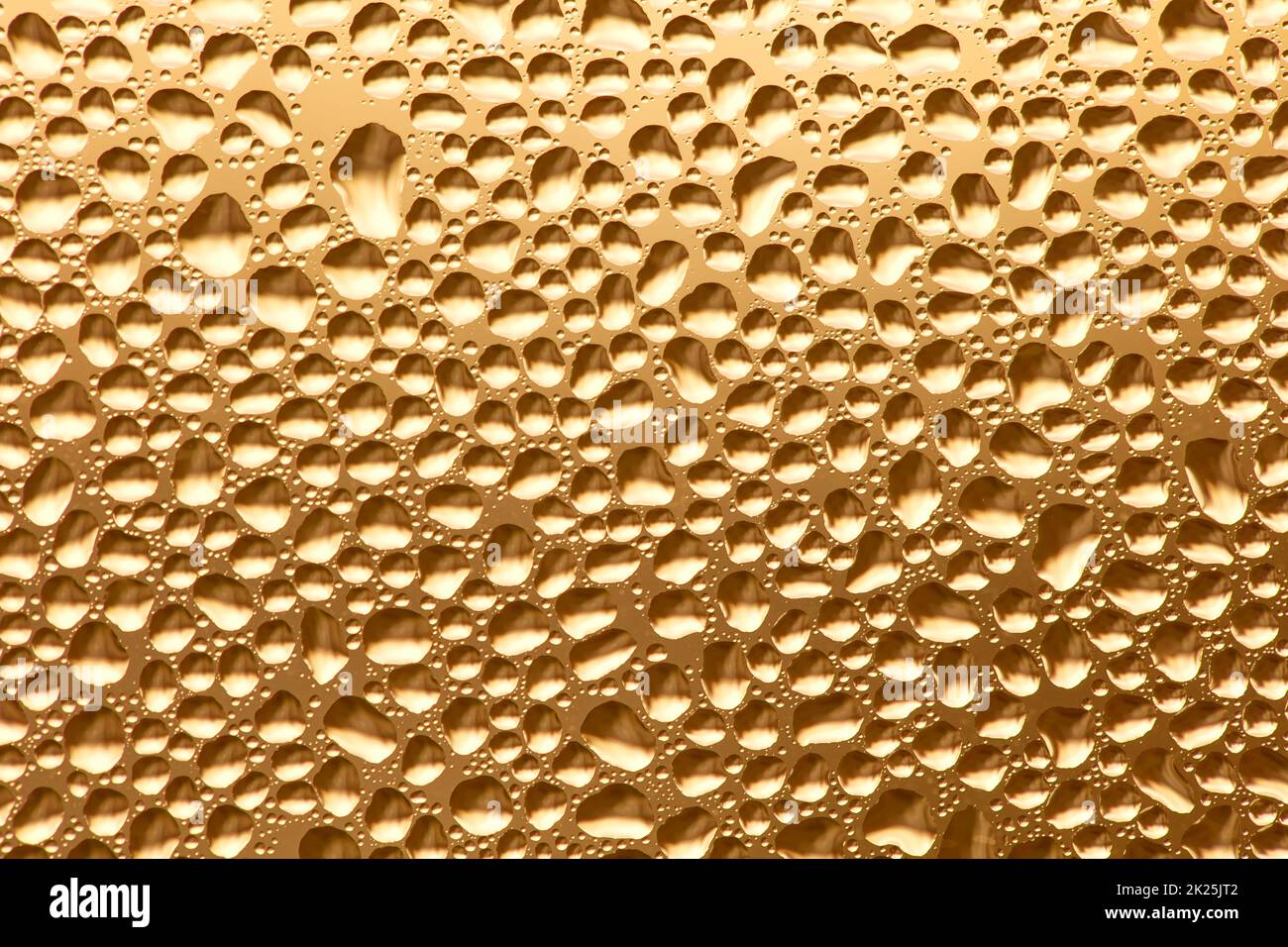 Dewdrops Foto Stock