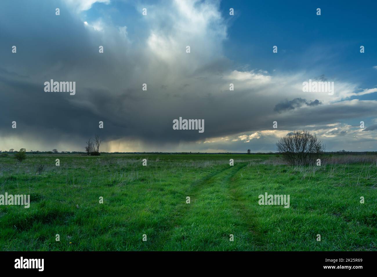 Nube di pioggia scura sopra il prato verde, Czulczyce, Polonia Foto Stock