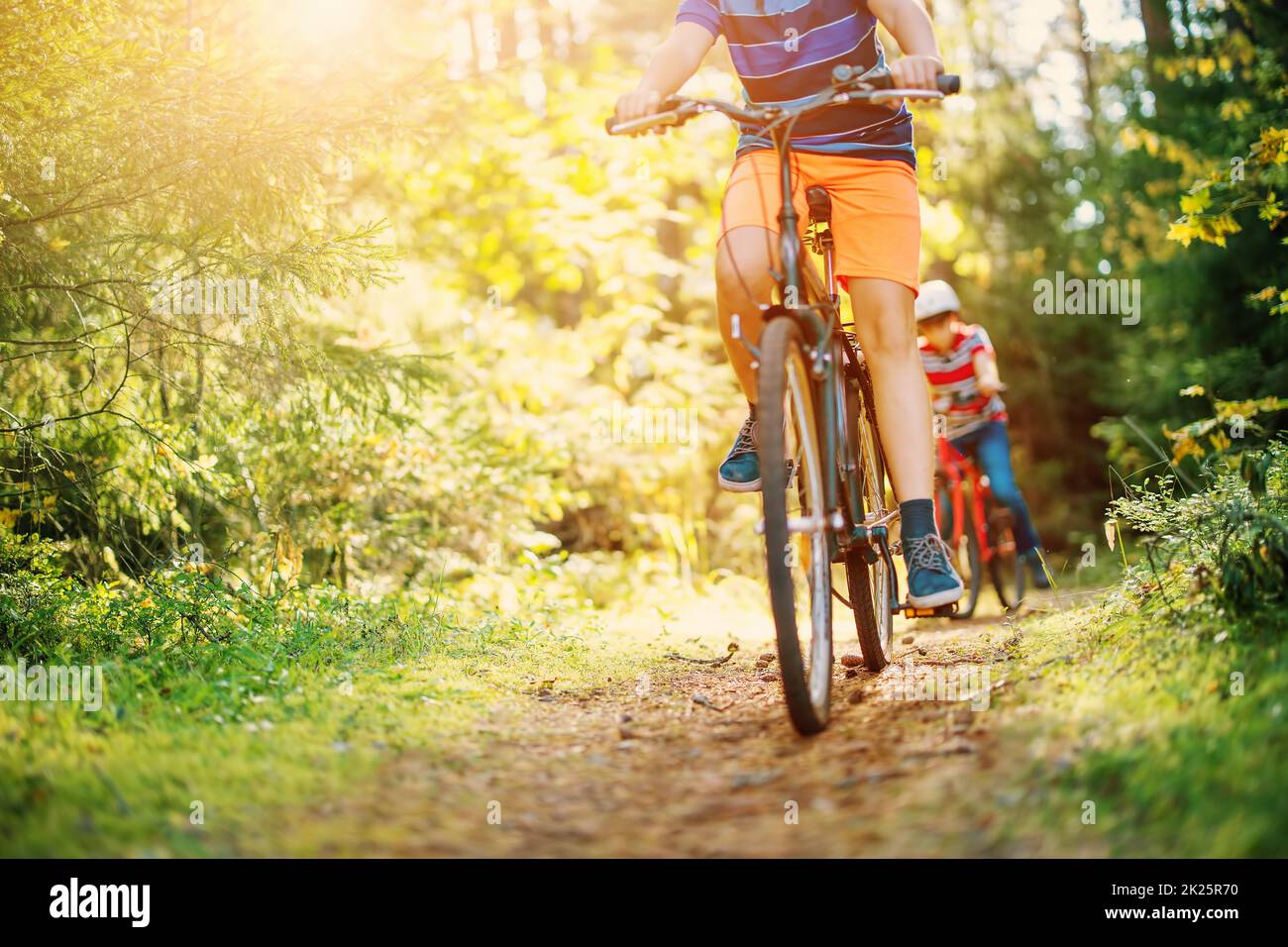 I bambini in bicicletta nella foresta al mattino presto. Foto Stock